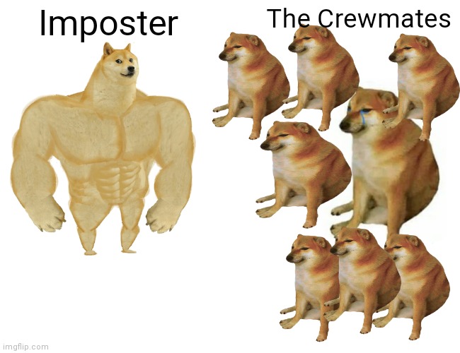 Buff Doge vs. Cheems | Imposter; The Crewmates | image tagged in memes,buff doge vs cheems | made w/ Imgflip meme maker