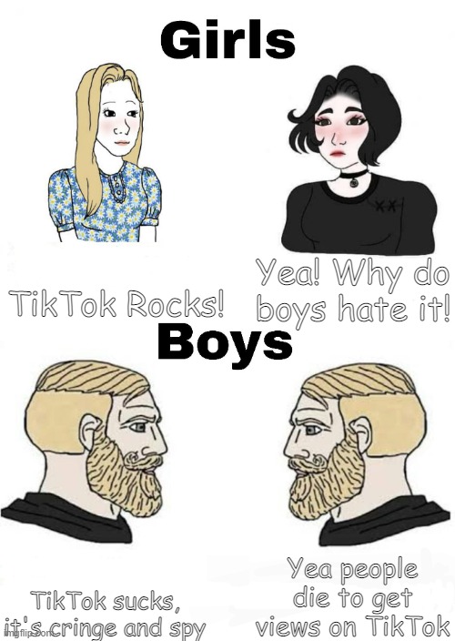 Girls vs Boys | TikTok Rocks! Yea! Why do boys hate it! Yea people die to get views on TikTok; TikTok sucks, it's cringe and spy | image tagged in girls vs boys | made w/ Imgflip meme maker