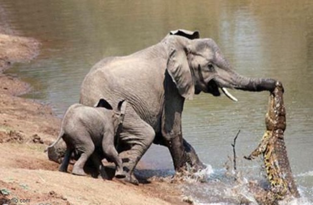 image tagged in awesome | made w/ Imgflip meme maker