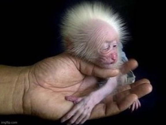 image tagged in awesome | made w/ Imgflip meme maker