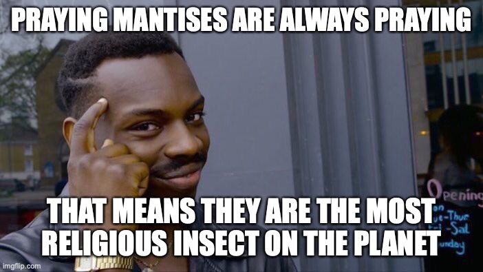 roll safe and...........do what you think is right | PRAYING MANTISES ARE ALWAYS PRAYING; THAT MEANS THEY ARE THE MOST RELIGIOUS INSECT ON THE PLANET | image tagged in memes,roll safe think about it,good memes,funny memes | made w/ Imgflip meme maker