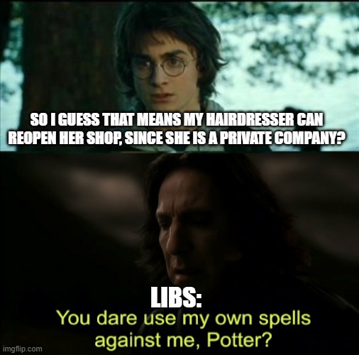 SO I GUESS THAT MEANS MY HAIRDRESSER CAN REOPEN HER SHOP, SINCE SHE IS A PRIVATE COMPANY? LIBS: | image tagged in memes,horny harry,you dare use my own spells against me | made w/ Imgflip meme maker