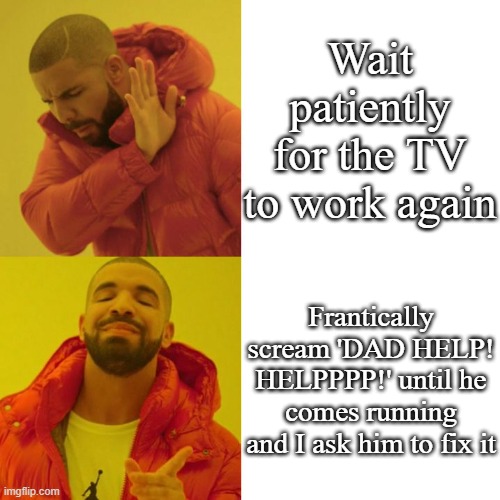 Thank you for your assistance father :) | Wait patiently for the TV to work again; Frantically scream 'DAD HELP! HELPPPP!' until he comes running and I ask him to fix it | image tagged in drake blank | made w/ Imgflip meme maker