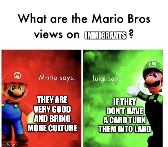 Mario Bros Views | IMMIGRANTS; THEY ARE VERY GOOD AND BRING MORE CULTURE; IF THEY DON’T HAVE A CARD TURN THEM INTO LARD | image tagged in mario bros views,immigrant | made w/ Imgflip meme maker