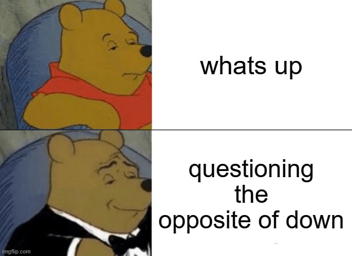 Tuxedo Winnie The Pooh | whats up; questioning the opposite of down | image tagged in memes,tuxedo winnie the pooh | made w/ Imgflip meme maker