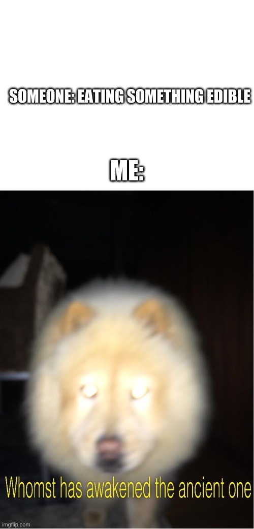 M E M E | SOMEONE: EATING SOMETHING EDIBLE; ME: | image tagged in blank white template,whomst has awakened the ancient one,whomst has summoned the almighty one,doge,dogs | made w/ Imgflip meme maker