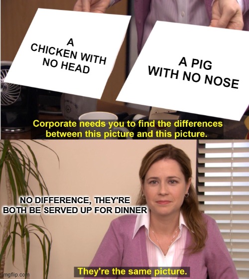 They're The Same Picture Meme | A CHICKEN WITH NO HEAD; A PIG WITH NO NOSE; NO DIFFERENCE, THEY'RE BOTH BE SERVED UP FOR DINNER | image tagged in memes,they're the same picture | made w/ Imgflip meme maker