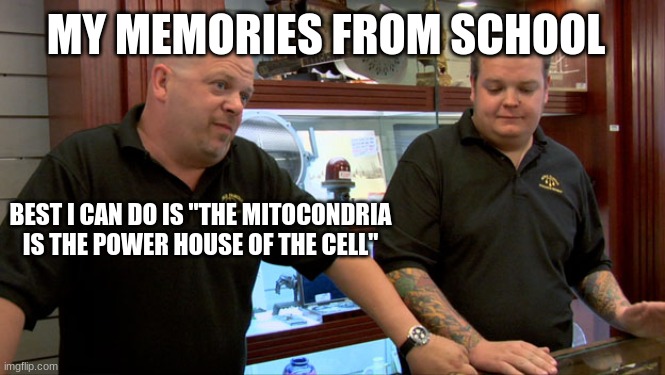 Shool | MY MEMORIES FROM SCHOOL; BEST I CAN DO IS "THE MITOCONDRIA IS THE POWER HOUSE OF THE CELL" | image tagged in pawn stars best i can do | made w/ Imgflip meme maker