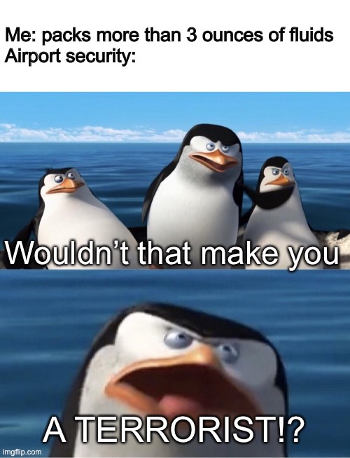 Wouldn’t that make you | Me: packs more than 3 ounces of fluids
Airport security:; A TERRORIST!? | image tagged in wouldn t that make you | made w/ Imgflip meme maker