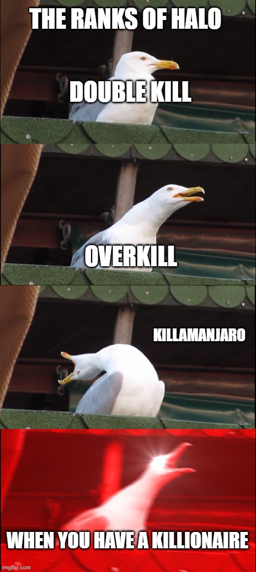 Inhaling Seagull Meme | THE RANKS OF HALO; DOUBLE KILL; OVERKILL; KILLAMANJARO; WHEN YOU HAVE A KILLIONAIRE | image tagged in memes,inhaling seagull | made w/ Imgflip meme maker