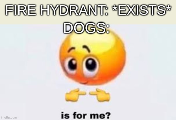 Is for me | FIRE HYDRANT: *EXISTS*; DOGS: | image tagged in is for me | made w/ Imgflip meme maker