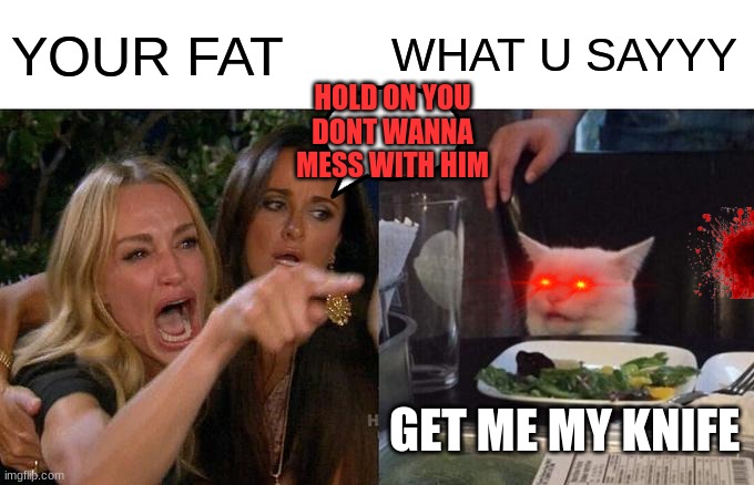 Woman Yelling At Cat Meme | YOUR FAT; WHAT U SAYYY; HOLD ON YOU
DONT WANNA MESS WITH HIM; GET ME MY KNIFE | image tagged in memes,woman yelling at cat | made w/ Imgflip meme maker