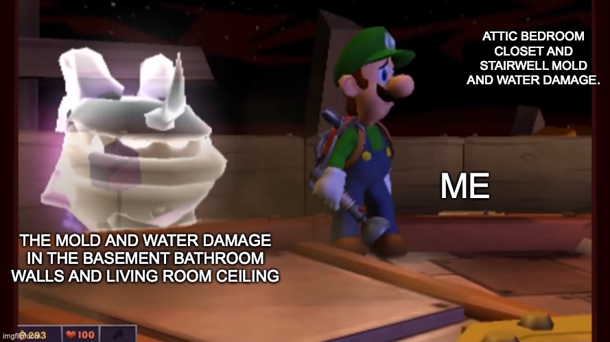 More abatement side quests! | ATTIC BEDROOM CLOSET AND STAIRWELL MOLD AND WATER DAMAGE. ME; THE MOLD AND WATER DAMAGE IN THE BASEMENT BATHROOM WALLS AND LIVING ROOM CEILING | image tagged in sneaking possessor | made w/ Imgflip meme maker