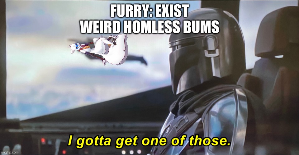 like thats saying u wanna snuggle with a fox.... | FURRY: EXIST
WEIRD HOMLESS BUMS | image tagged in mandolorian,furry,kill,i gotta get one of those | made w/ Imgflip meme maker