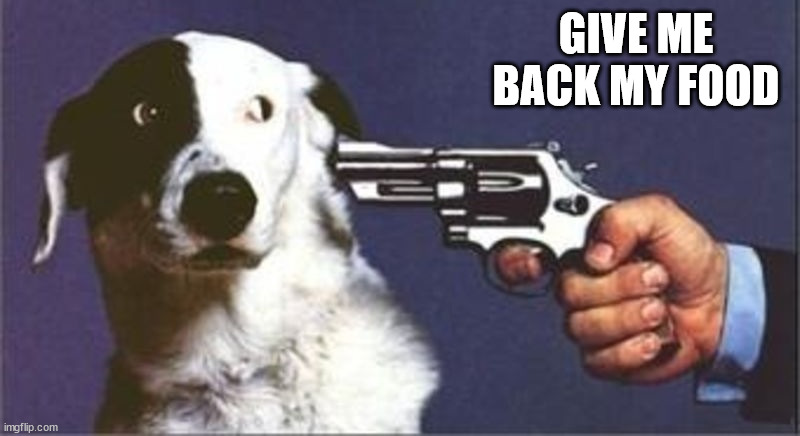 Dog Gun | GIVE ME BACK MY FOOD | image tagged in dog gun | made w/ Imgflip meme maker