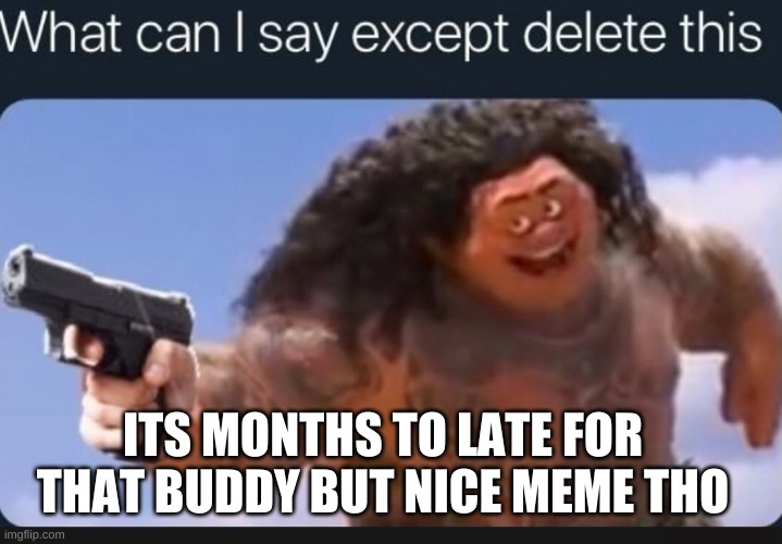 What can I say except delete this | ITS MONTHS TO LATE FOR THAT BUDDY BUT NICE MEME THO | image tagged in what can i say except delete this | made w/ Imgflip meme maker