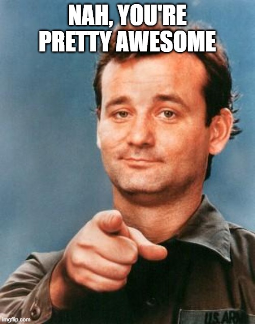 Bill Murray You're Awesome | NAH, YOU'RE PRETTY AWESOME | image tagged in bill murray you're awesome | made w/ Imgflip meme maker