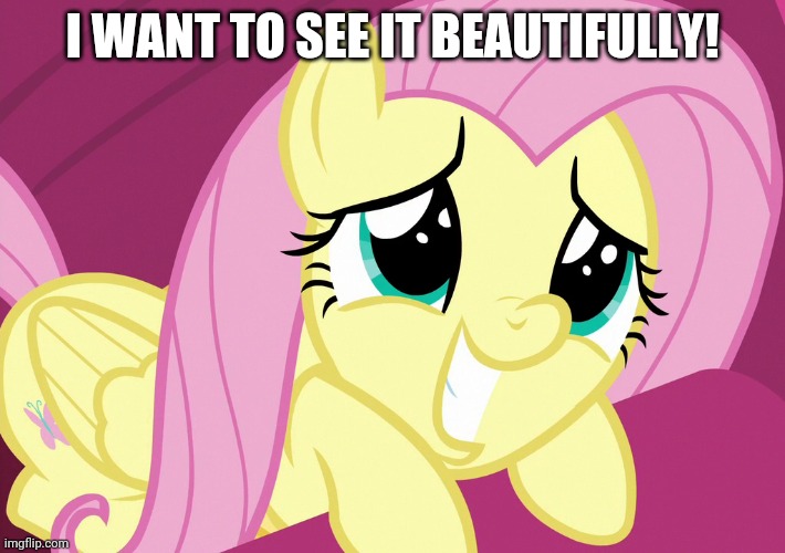 I WANT TO SEE IT BEAUTIFULLY! | made w/ Imgflip meme maker