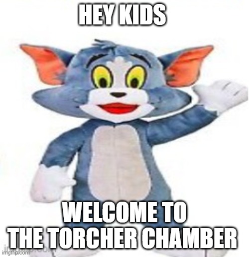 image found by Guineapigmemesandpics not me | HEY KIDS; WELCOME TO THE TORCHER CHAMBER | image tagged in i took it finalltry fefleaja | made w/ Imgflip meme maker