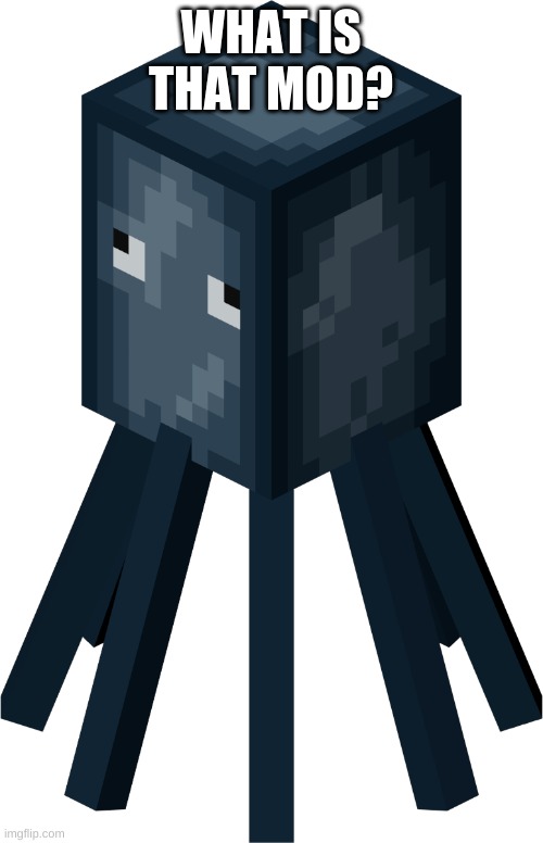 Minecraft squid | WHAT IS THAT MOD? | image tagged in minecraft squid | made w/ Imgflip meme maker