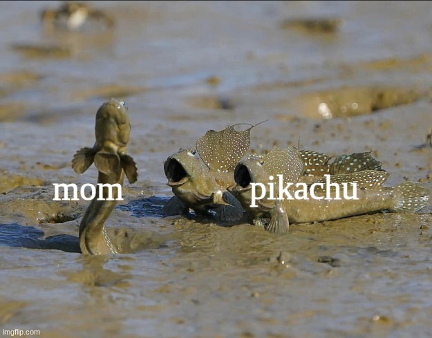 Pog Mudskippers | mom pikachu | image tagged in pog mudskippers | made w/ Imgflip meme maker