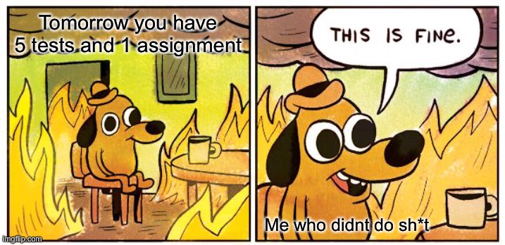 We all get this, dont we? | Tomorrow you have 5 tests and 1 assignment; Me who didnt do sh*t | image tagged in memes,this is fine | made w/ Imgflip meme maker
