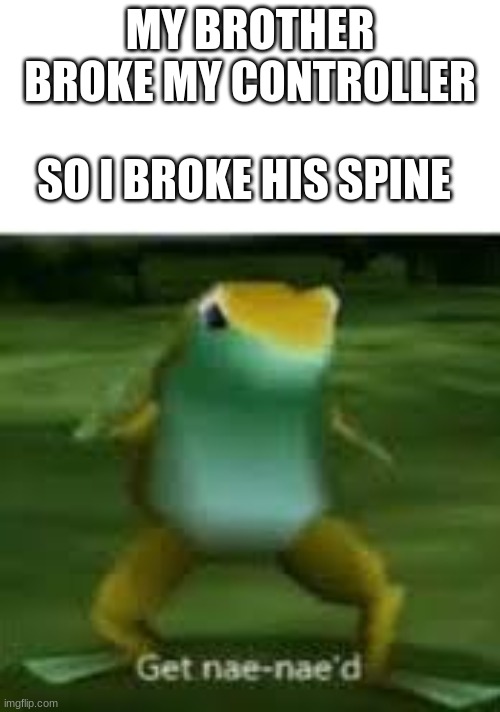 he knew the rules and so did i |  MY BROTHER BROKE MY CONTROLLER; SO I BROKE HIS SPINE | image tagged in get nae naed | made w/ Imgflip meme maker