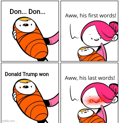 Be Gone Trump Supporter | Don... Don... Donald Trump won | image tagged in aww his last words | made w/ Imgflip meme maker