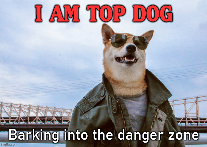 I AM TOP DOG; Barking into the danger zone | image tagged in dogs | made w/ Imgflip meme maker