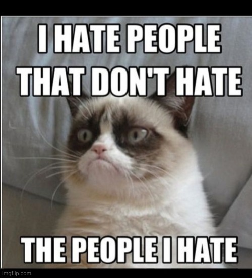 I hate 'em so bad! | image tagged in grumpy cat not amused | made w/ Imgflip meme maker