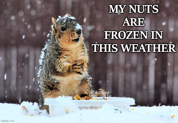 Sounds dirty but isn't | MY NUTS ARE FROZEN IN THIS WEATHER | image tagged in eyeroll | made w/ Imgflip meme maker