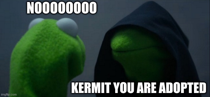You are adopted | NOOOOOOOO; KERMIT YOU ARE ADOPTED | image tagged in memes,evil kermit | made w/ Imgflip meme maker