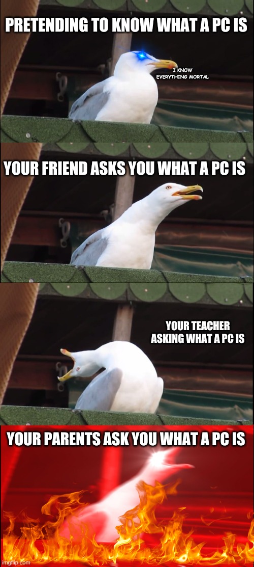 i never knew PC stood for personal computer | PRETENDING TO KNOW WHAT A PC IS; I KNOW EVERYTHING MORTAL; YOUR FRIEND ASKS YOU WHAT A PC IS; YOUR TEACHER ASKING WHAT A PC IS; YOUR PARENTS ASK YOU WHAT A PC IS | image tagged in memes,inhaling seagull | made w/ Imgflip meme maker