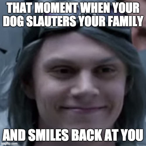 Quicksilver Betcha Didn't Realize | THAT MOMENT WHEN YOUR DOG SLAUTERS YOUR FAMILY; AND SMILES BACK AT YOU | image tagged in quicksilver betcha didn't realize | made w/ Imgflip meme maker