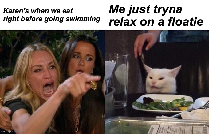 Woman Yelling At Cat Meme | Karen’s when we eat right before going swimming; Me just tryna relax on a floatie | image tagged in memes,woman yelling at cat | made w/ Imgflip meme maker