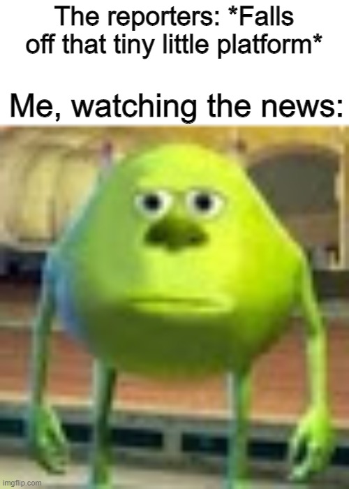 Sully Wazowski | The reporters: *Falls off that tiny little platform* Me, watching the news: | image tagged in sully wazowski | made w/ Imgflip meme maker