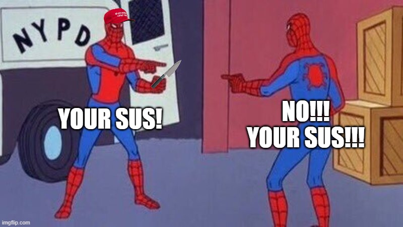 spiderman pointing at spiderman | NO!!! YOUR SUS!!! YOUR SUS! | image tagged in spiderman pointing at spiderman | made w/ Imgflip meme maker