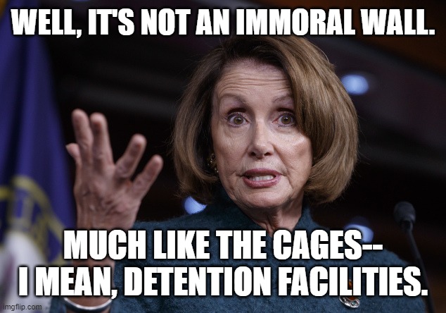 Good old Nancy Pelosi | WELL, IT'S NOT AN IMMORAL WALL. MUCH LIKE THE CAGES-- I MEAN, DETENTION FACILITIES. | image tagged in good old nancy pelosi | made w/ Imgflip meme maker