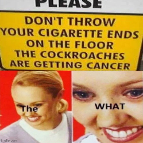 "cockroach that has cancer enters make-a-wish" | image tagged in thewhat | made w/ Imgflip meme maker