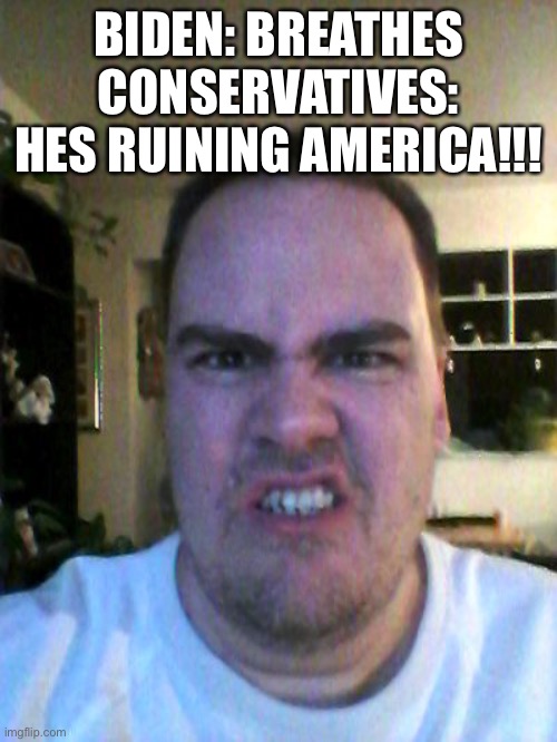 Grrr | BIDEN: BREATHES
CONSERVATIVES: HES RUINING AMERICA!!! | image tagged in grrr | made w/ Imgflip meme maker