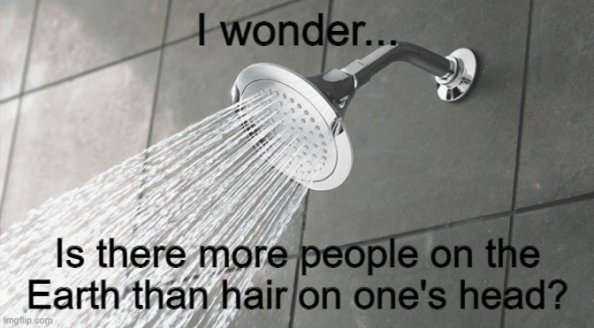 Has this already been made? |  I wonder... Is there more people on the Earth than hair on one's head? | image tagged in shower thoughts | made w/ Imgflip meme maker