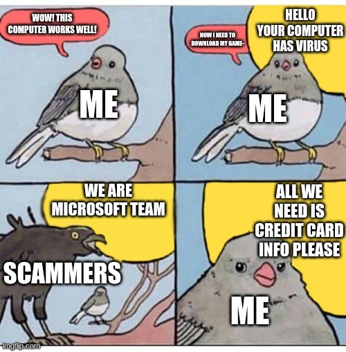 annoyed bird | HELLO YOUR COMPUTER HAS VIRUS; WOW! THIS COMPUTER WORKS WELL! NOW I NEED TO DOWNLOAD MY GAME-; ME; ME; WE ARE MICROSOFT TEAM; ALL WE NEED IS CREDIT CARD INFO PLEASE; SCAMMERS; ME | image tagged in annoyed bird | made w/ Imgflip meme maker