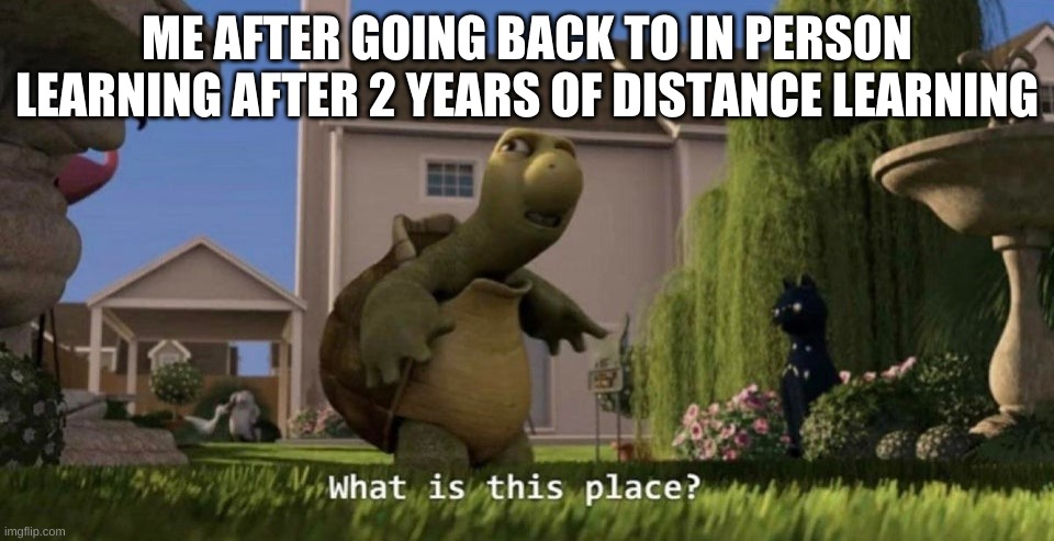 What is this place | ME AFTER GOING BACK TO IN PERSON LEARNING AFTER 2 YEARS OF DISTANCE LEARNING | image tagged in what is this place | made w/ Imgflip meme maker