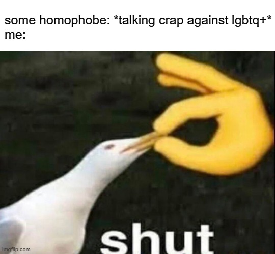 i cant think of a decent title for this :/ | some homophobe: *talking crap against lgbtq+*
me: | image tagged in shut,memes,gay pride,lgbtq | made w/ Imgflip meme maker