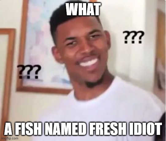 b | WHAT A FISH NAMED FRESH IDIOT | image tagged in nick young | made w/ Imgflip meme maker