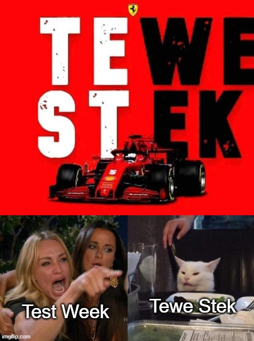 Tewe Stek; Test Week | image tagged in formula 1 | made w/ Imgflip meme maker