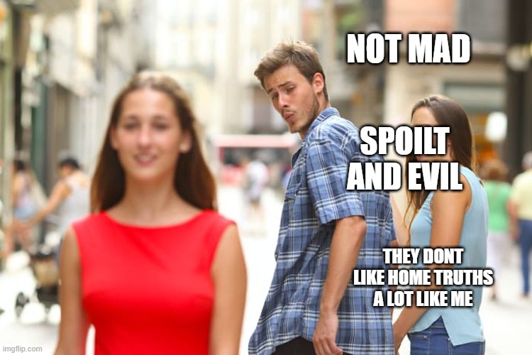 not mad | NOT MAD; SPOILT AND EVIL; THEY DONT LIKE HOME TRUTHS
A LOT LIKE ME | image tagged in memes,distracted boyfriend | made w/ Imgflip meme maker