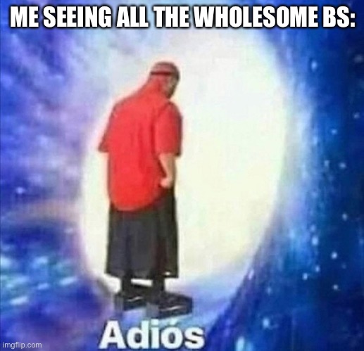 Adios | ME SEEING ALL THE WHOLESOME BS: | image tagged in adios | made w/ Imgflip meme maker