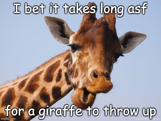 i bet you $500 on it. | I bet it takes long asf; for a giraffe to throw up | image tagged in comeback giraffe | made w/ Imgflip meme maker