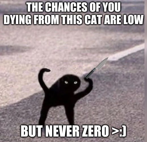 lol | THE CHANCES OF YOU DYING FROM THIS CAT ARE LOW; BUT NEVER ZERO >:) | image tagged in cursed cat | made w/ Imgflip meme maker